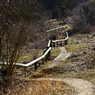 Tring_IMG_007.jpg