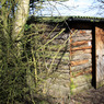 Tring_IMG_008.jpg