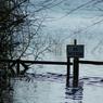 Wet_underfoot-MJ.jpg