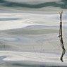 canon167_college_lake_072.JPG