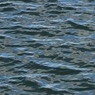 canon167_college_lake_196.JPG