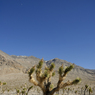 DSC_0395.jpg