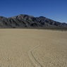 DSC_0410.jpg