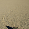 DSC_0432.jpg