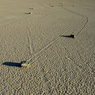 DSC_0455.jpg