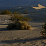 dunes2.jpg