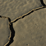 mud0001.jpg
