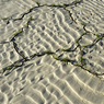 mud0010.jpg