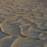 mud0030.jpg