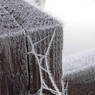 FrostOnGatePostAtHambledenLock.JPG