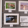 P1190762sm.jpg