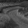 Dew_Drop_Walk_03_Ed_Doughty.jpg