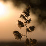 MaidenheadCC-10.jpg