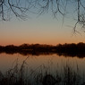 Late-Lake-View-One.jpg
