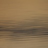 GoldenwaterbyEdDoughty.jpg