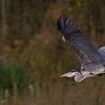 SM080722--451.jpg