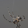 SM080722--509.jpg