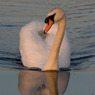 SM080722--574.jpg