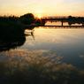 canon97clubwalkdorneyjuly08091copy.jpg