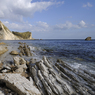 _DSC0496.jpg