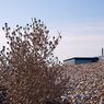 Dungeness2011-02resize.jpg
