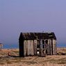 Dungeness2011-03resize.jpg