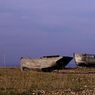 Dungeness2011-08resize.jpg