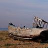 Dungeness2011-11resize.jpg