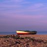 Dungeness2011-14resize.jpg
