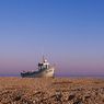 Dungeness2011-15resize.jpg
