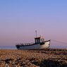 Dungeness2011-16resize.jpg