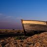 Dungeness2011-17resize.jpg