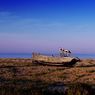 Dungeness2011-18resize.jpg