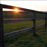 SunsetFencebyEdDoughty.jpg