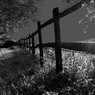 TheFencebyEdDoughty.jpg
