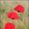 ThenThereWereThree-DaveMundy.jpg