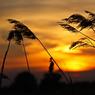 ChrisGled_sunset2.jpg