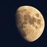 Ingrid_Moon.jpg