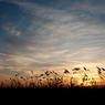 Lastshotsunset-GB.jpg
