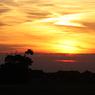 sunset.jpg