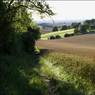 View-from-Ewelme-Park-towar.jpg