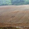CopasFarm.jpg