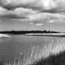 RiverAlde-21a.jpg