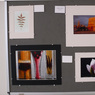 P1190767esm.jpg