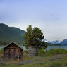 DSC_0216.jpg