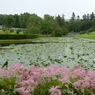 P1010639.JPG