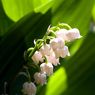 IMG_3499_edited-2resize.jpg