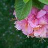 IMG_3519_edited-2resize.jpg