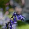 IMG_3521_edited-2resize.jpg