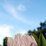 IMG_3967_edited-2resize.jpg